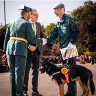 El perro de la Guardia Civil especializado en detección de drogas 'Donald', que acaba de jubilarse tras más de mil intervenciones y ha sido adoptado por Dámaso, el agente que ha sido su guía en sus once años de servicio. EFE/ Guardia Civil SOLO USO EDITORIAL/SOLO DISPONIBLE PARA ILUSTRAR LA NOTICIA QUE ACOMPAÑA (CRÉDITO OBLIGATORIO)