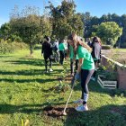 El Grupo Iberdrola celebra la XIII edición de su Semana Internacional del Voluntariado entre el 28 de septiembre y el 6 de octubre bajo el lema "Yo creo en un mundo mejor"