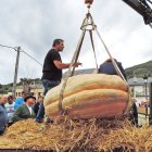 Pesaje de una de las calabazas participantes en el certamen del año pasado.