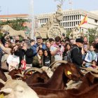 Fiesta de la trashumancia en Madrid en 2023, a su paso por Cibeles, cuando se cumplió el 30 aniversario.