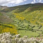 Paraje con sebes en Fasgar, en la Reserva de la Biosfera Valles de Omaña y Luna