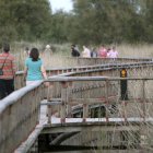 Las Tablas de Daimiel, en la provincia de Ciudad Real, uno de los lugares elegidos por el turismo para disfrutar de la naturaleza y de las aves.