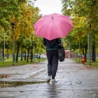 Imagen de esta semana de un día de lluvia. EFE/ Raquel Manzanares