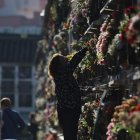 Imagen de archivo de una mujer colocando flores en un nicho del cementerio de San Rafael en Córdoba. EFE/ Salas