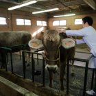 Un alumno de la facultad de Veterinaria en León