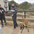 Miembros de la Unidad canina de la Guardia Civil que ha intervenido en el hallazgo de la persona encontrada este domingo en Letur, donde los vecinos continúan con las labores de limpieza de calles y viviendas afectadas por el paso de la dana. EFE/Manu