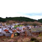 Imagen reciente de Sancedo, rodeado de pinos.