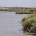 Imagen de archivo del río Guadalquivir en las inmediaciones de Sanlúcar de Barrameda (Cádiz) donde anoche murió un narcotraficante en una colisión entre una narcolancha y una patrullera de la Guardia Civil.EFE/ Román Ríos