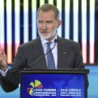 El rey Felipe VI, en una imagen de archivo. EFE/ José Jácome