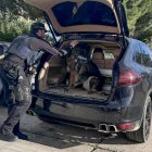Agentes de los Mossos d'Esquadra registran un vehículo durante el macrodispositivo conjunto que están llevando a cabo este martes con la Europol en las provincias de Barcelona y Tarragona para desarticular una organización criminal relacionada con blanqueo de capitales, tráfico de drogas y tenencia de armas. EFE/Javier Díaz