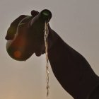 Un hombre escancia sidra.