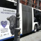 FUNDACIÓN TORO DE LIDIA - Archivo