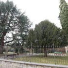Árboles del parque del Cid en León.