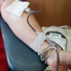 Una donante de sangre durante una jornada dirigida a estudiantes en León.