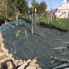 Uno de los trabajos realizados en el municipio por los alumnos de los programas Zardinos