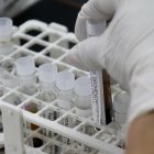 Fotografía de archivo de varias muestras de sangre en un laboratorio. EFE/Andrés Cristaldo Benítez