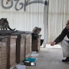 Una voluntaria en una de las colonias felinas que atiende Argos León.