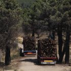 Labores de recuperación en Castrocontrigo.