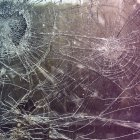 Los presuntos autores sustrajeron dos vehículos de la misma marca y modelo, los cuales utilizaron para fracturar los escaparates y puertas de acceso a los establecimientos.