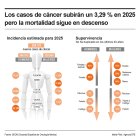 Infografía con la incidencia y superviviencia estimadas de los caso de cáncer en España en 2025. EFE