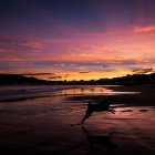Un perro corre por la playa de Ondarreta de San Sebastián en un amanecer, en una imagen de archivo. EFE/ Javier Etxezarreta