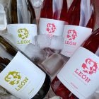 Botellas de vino de la DO.