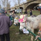 Feria de San Blas en Gradefes.