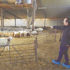 Parte de la explotación ovina de la quesería Soterano, perteneciente a los hermanos Bernardo en la localidad de Matadeón de los Oteros.