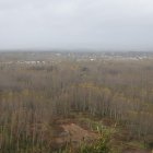 Vista de choperas en la comarca del Bierzo.