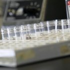 Fotografía de archivo de un laboratorio. EFE/JORGE DIRKX