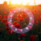 Los doce signos zodiacales superpuestos sobre un campo de flores rojas.