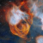 Con tenues capas en rojo, naranja y amarillo, la nebulosa que encierra a NGC 2040 se asemeja a una vibrante rosa en esta imagen captada por el telescopio Gemini Sur, en Chile. Crédito: Observatorio Internacional Gemini/NOIRLab/NSF/AURA.
                      Procesamiento de la imagen: J. Miller & M. Rodriguez (Observatorio Internacional Gemini/NSF NOIRLab), T.A. Rector (Universidad de Alaska Anchorage/NSF NOIRLab), M. Zamani (NSF NOIRLab).