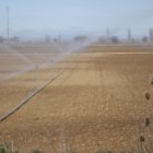 Campos Agrícolas de la zona de los Oteros.