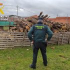 Leña incautada en la operación de la Guardia Civil.
