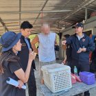 BANGKOK, 28/02/2025.- El youtuber y naturalista español Frank Cuesta fue detenido en Tailandia por presunta posesión ilegal de animales salvajes protegidos y se encuentra este viernes en la comisaría de Lao Khwan (en la provincia central de Kanchanaburi) a la espera de reunirse con su abogado, confirmó a EFE la Policía. Cuesta se encuentra detenido en la citada comisaría, situada unos 140 kilómetros al noroeste de Bangkok, a la espera de que llegue su abogado desde la capital tailandesa, explicó a EFE un portavoz policial. EFE/ Facebook Del Departamento De Parques Nacionales Vida Silvestre Y Conservación De Las Plantas De Tailandia *****SOLO USO EDITORIAL/SOLO DISPONIBLE PARA ILUSTRAR LA NOTICIA QUE ACOMPAÑA (CRÉDITO OBLIGATORIO) *****
