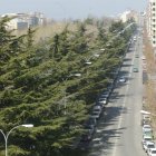 Vista de la avenida de la Facultad.