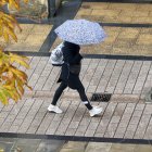 Una persona se protege con paraguas de la lluvia.