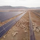 Placas solares.