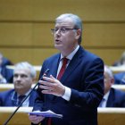 Silván, en una intervención en el Senado.