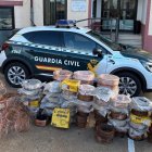 GUARDIA CIVIL