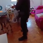 Operación de la Policía Nacional contra la trata de mujeres.