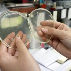 Modelos de bioplásticos que desarrollan en la Universidad de León.