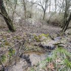 Área de Salinillas de la Bureba donde la Policía encontró el cuerpo de Bejarano.