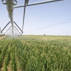 Pivot de riego en Villaestrigo del Páramo.