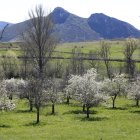 La previsión meteorológica pronostica un día despejado para hoy en la provincia