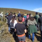 Parte de la reforestación en la localidad de Valdavido.
