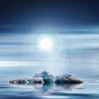 Imagen del esplendor de la luz solar sobre el hielo en el Polo Sur