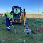 Dos operarios del Ayuntamiento trabajan en la plantación.