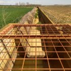 La acequia construida para este fin nunca se ha puesto en marcha desde su cosntrucción en 2004.