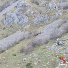 Lugar donde se produjo el accidente.